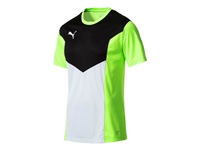Obrázek produktu Trika – triko puma ftblTRG Shirt Green Gecko m-XL











