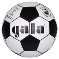 Obrázek produktu Míč – míč gala nohejbal-5